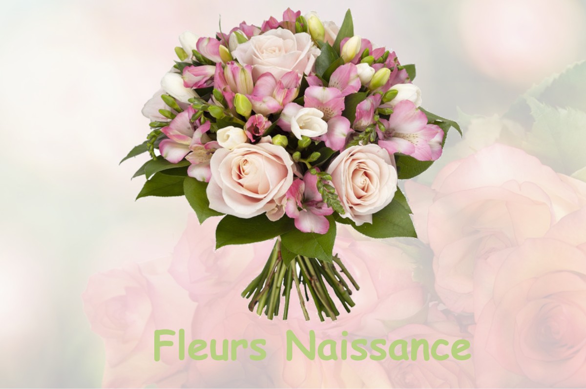 fleurs naissance FOUCHEROLLES