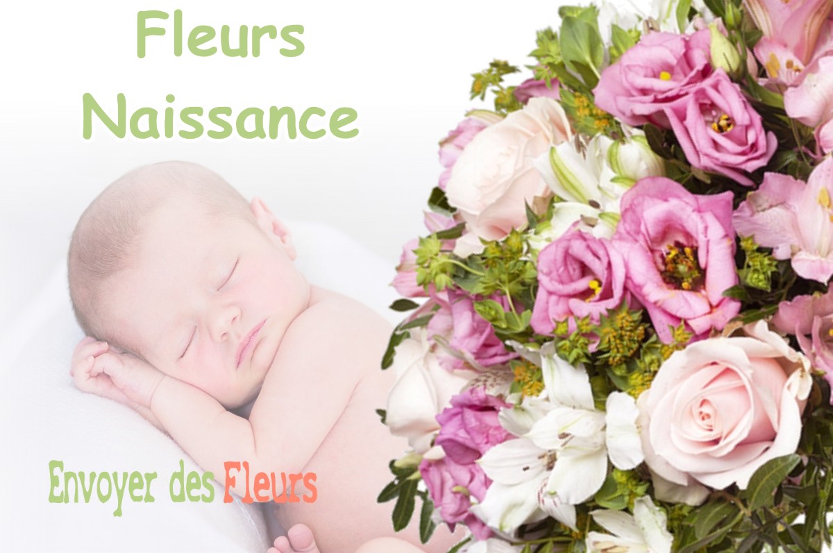 lIVRAISON FLEURS NAISSANCE à FOUCHEROLLES